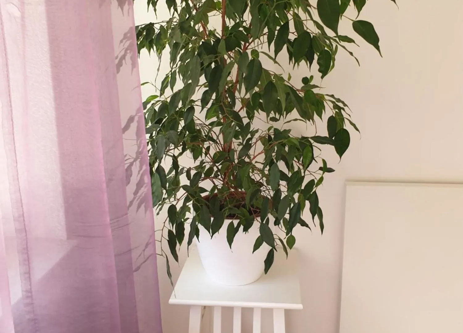 Goemb Utca Apartment Budapest